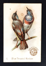 Blue Throated Warbler Beautiful Birds Card ARM &amp; HAMMER Soda  Church &amp; C... - $20.00