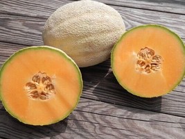 25 Premium Fresh Sweet Delicious 51 Melon Nongmo Seedsb 24 From US  - $8.35