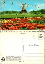 Michigan Holland Flags Of Netherlands Province Red Flowers Windmill VTG Postcard - £7.53 GBP