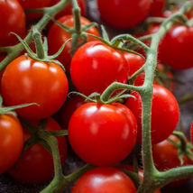 Large Red Cherry Tomato 50 Seeds - £7.19 GBP