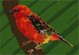 Pepita Needlepoint kit: Little Red Bird, 10&quot; x 7&quot; - $50.00+