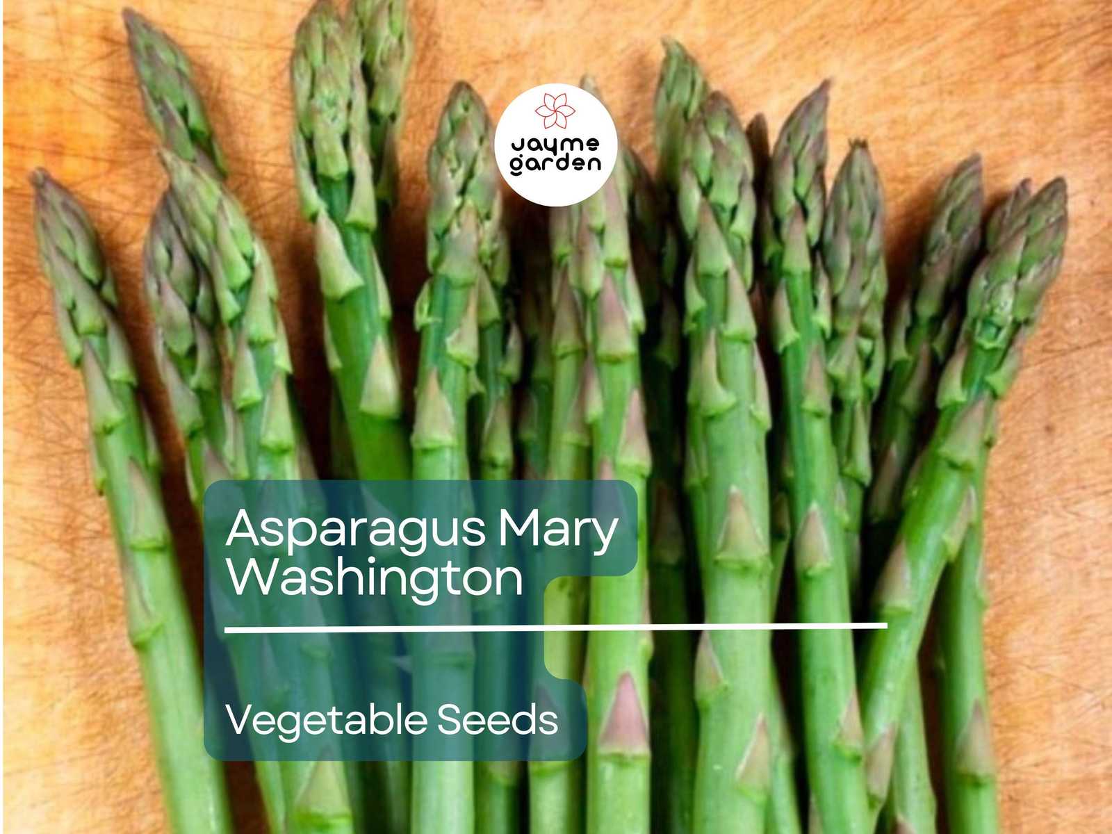 Asparagus Mary Washington 1 Gram Seeds - Heirloom Non-GMO Variety for Pe... - $4.50