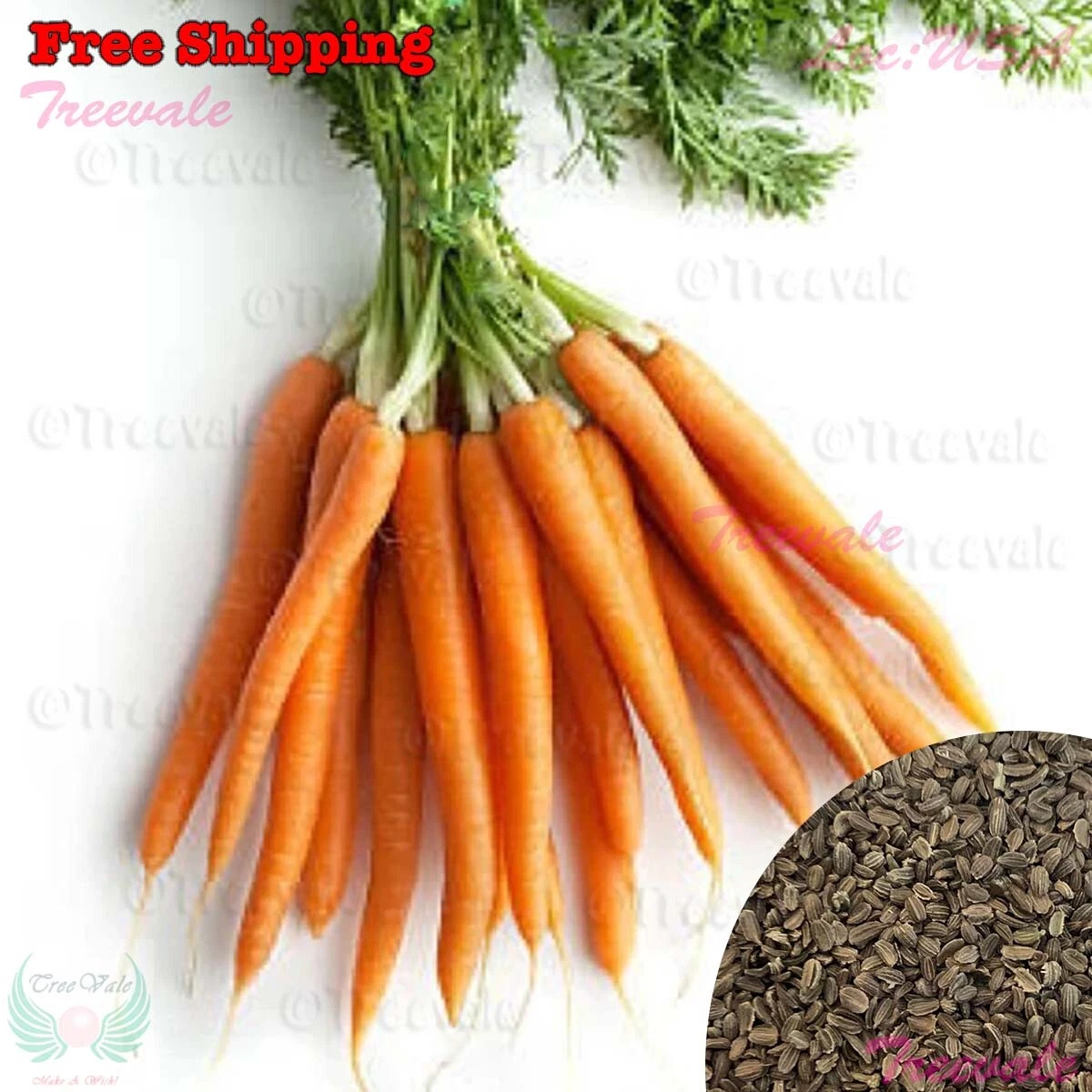 Little Fingers Carrot - Daucus Carota SEEDS | Vegetable Seeds - $6.57