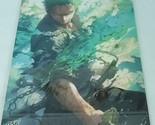 Zoro #056 One Piece Double-sided Art Board Oversize Size A4 8&quot; x 11&quot; Wai... - $39.59