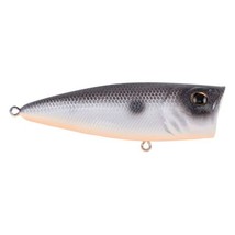 Berkley Bullet Pop Topwater Fishing Lure, Danald, 2/5 oz, 70mm | 2.75in ... - $11.97