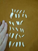 Item image 1 image 1