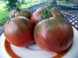 Royal Purple - Beautiful shape and color in a slicing tomato, J&amp;L exclusive - $4.95