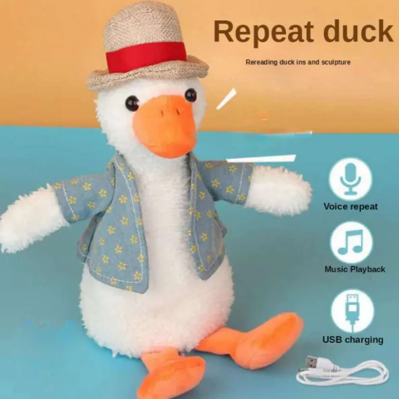 Electric Replay Rereading Cole Duck Learn To Talk Recording Singing Animal USB - £12.51 GBP