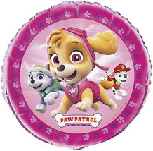 Paw Patrol Girl Pink 18&quot; Mylar Foil Round Balloon 1 Ct Skye Everest Mars... - $4.17