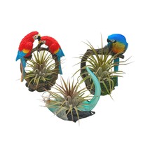 Resin Tropical Bird Air Plant Sculpture Tillandsia Planted in Hand Made Art Asso - £33.64 GBP
