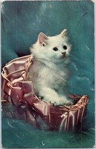 Kitten In A Satin Lined Basket Cat Postcard Posted 1956 - £4.12 GBP