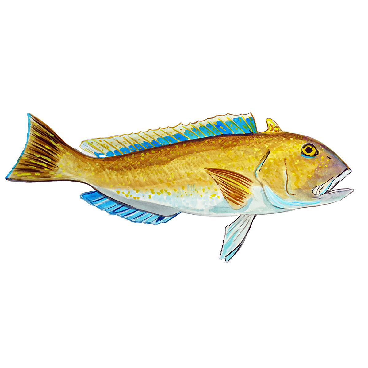 Golden Tile Fish High Quality Printed Vinyl Decal Wall Window SUV Truck ... - $6.95+