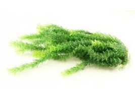 Plastic Aquarium Plant with Weighted Base 16 Inch Tall, Full Decoration for Pond - £15.04 GBP
