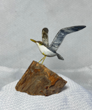 Hand Carved Wood Sunbathing Sea Gull Shore Bird On Live Wood Figurine Statue - £24.01 GBP