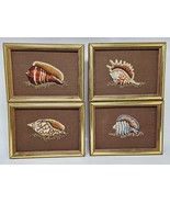 Vintage Sunset Designs 1977 Framed Shell Needlepoint Set of 4 8x6in MCM ... - $59.99