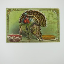 Thanksgiving Postcard Wild Turkey &amp; Pumpkin Pie Gold Embossed Antique 1907 - £7.82 GBP