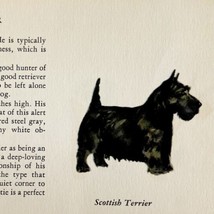 Scottish Terrier 1939 Scottie Dog Breed Art Ole Larsen Color Plate Print PCBG17 - £22.41 GBP