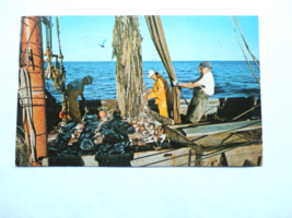 Cape Cod MA- Massachusetts, Commercial Fishing Boat, Vintage Postcard - £1.31 GBP