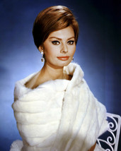 Sophia Loren studio glamour pose early 1960&#39;s in fur jacket 24X36 Poster - £22.91 GBP