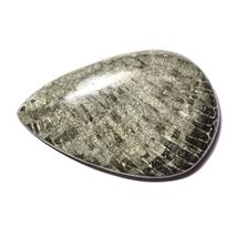 35.46 Carats TCW 100% Natural Beautiful Black Fossil Coral Pear Cabochon Gem by  - £12.38 GBP