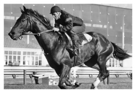 Damascus American Champion Racehorse On Track 1967 4X6 Photo - £6.27 GBP