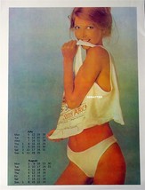 Vintage Pin-up British Airways S. Africa Calendar Girl! - £6.32 GBP