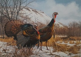Whitewater Valley - Gobblers by David Maass - 1983 Minnesota Wild Turkey Stamp P - £79.49 GBP