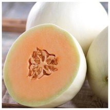 Honey Dew Orange Flesh Cantaloupe Seeds 50+ Muskmelon Fruit  From US - £5.65 GBP