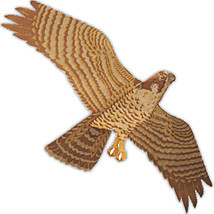 Jackite Peregrine Falcon Kite / Windsock - £32.91 GBP