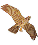 Jackite Peregrine Falcon Kite / Windsock - $58.71 CAD
