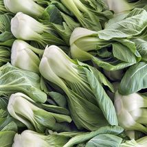 Free Shipping 200 Fresh Garden Seeds Bok Choy Cabbage Seeds Heirloom Non-GMO - £10.21 GBP