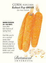 Robust Pop 400Mr Popcorn Corn Seeds 10 Grams USA Seeds Fast Shipping - £18.30 GBP