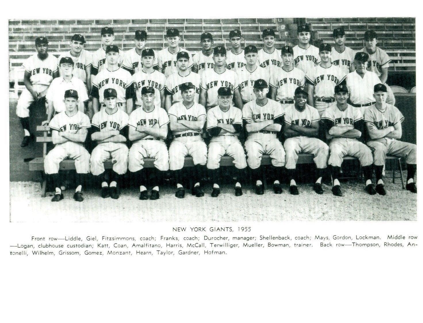1955 NEW YORK GIANTS 8X10 TEAM PHOTO BASEBALL PICTURE NY MLB - $4.94