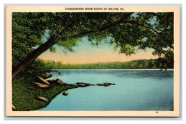 Susquehanna Fiume South Di Milton Pennsylvania Pa Unp Lino Cartolina R2 - £15.10 GBP