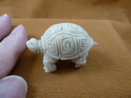 tb-turt-212) little tortoise Turtle TAGUA NUT palm figurine Bali I love turtles - £27.63 GBP