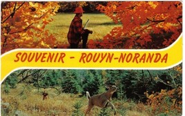 Quebec Postcard Rouyn Noranda Hunter and Deer - $2.96