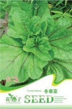 20 Seeds Chinese Mallow Vegetable Malva Verticillata Donghancai Herb Fresh Seeds - £9.49 GBP