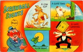 Postcard Comic Screwball Sights by Meyer  Posted 1951 5.5 x 3.5 - £4.61 GBP