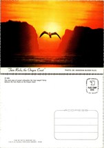 Oregon Coast Twin Rocks Seagull Flying Sunset Silhouette VTG Postcard - £7.51 GBP