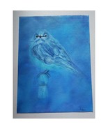 Blue Bird Acrylic Original Painting Canvas 9x12 Dont Blend in Background - $43.54