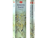 Hem white sage thumb155 crop