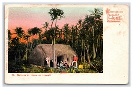Natives at Home TH Hawaii HI Island Curio No 25 UNP PMC Postcard U14 - £10.79 GBP