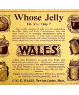 Wales Jelly Preserves 1897 Advertisement Victorian Massachusetts DWFF19 - €17,23 EUR
