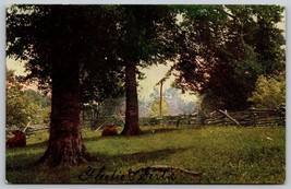 Vintage field cows resting on land trees old wooden fence Postcard - £3.88 GBP