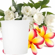 Frangipani Gardenia Jasmine Scented Eco Soy Wax Votive Candles, Hand Poured - £18.32 GBP+