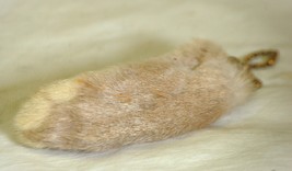 Taxidermy Lucky Rabbits Foot Key Chain - $12.86