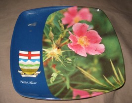 Vintage Wild Rose Province Of Alberta Plastic Souvenir Plate - £15.97 GBP