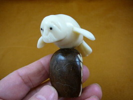 (TNE-MAN-327-A) white Manatee manatees sea cow TAGUA NUT figurine carving DUGONG - £14.01 GBP