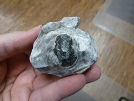 (r687-10) black obsidian volcanic glass Apache tear MATRIX stone specimen legend - £20.67 GBP