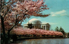 The Thomas Jefferson Memorial Cherry Blossoms Washington DC Postcard PC523 - £3.97 GBP